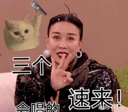 娱乐吃瓜酱emo歌,emo音乐中的青春共鸣与情感释放